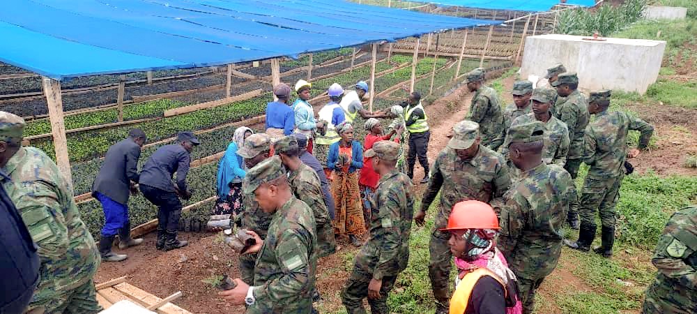 Gakenke: Inzego z’umutekano zateye ibiti 2000